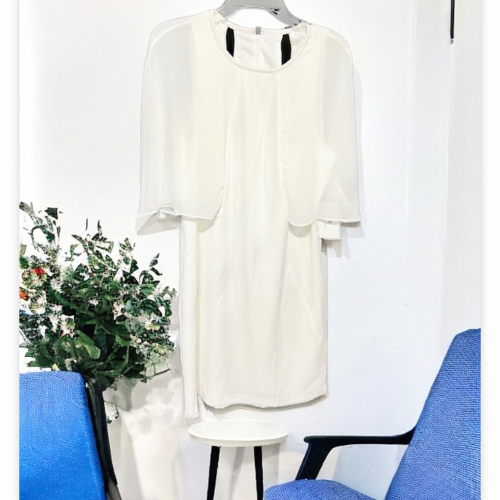 HALSTON HERITAGE Cape Overlay Sheath Dress Size 12
Ivory/White - Picture 7 of 15